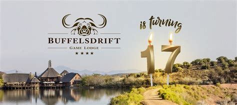 17 Years of Bushveld Perfection with Buffelsdrift