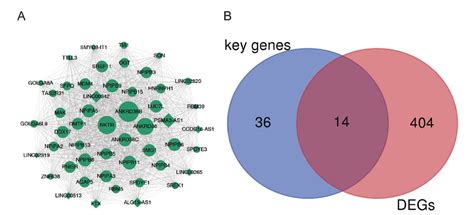 A Comprehensive Weighted Gene Co Expression Network Analysis Uncovers