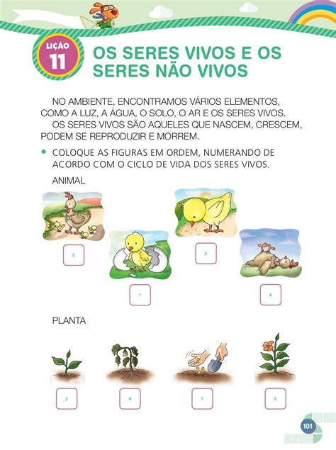 Ciclo De Vida Da Dengue Atividades Sobre A Dengue Escola Educa O The