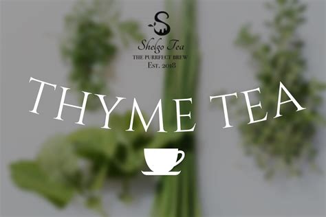 Thyme Tea The Many Health Benefits Of This Common Herb Shelgo Tea