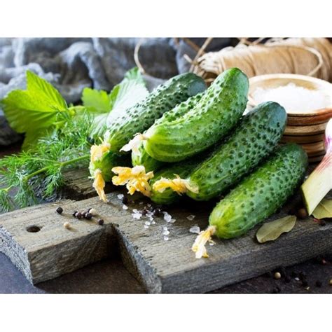 Корнишони Корвета F1 устойчиви на кубинска мана• Магазин за семена ...