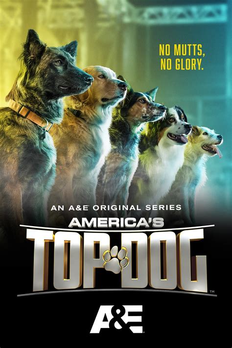 America's Top Dog (TV Series 2020- ) - Posters — The Movie Database (TMDB)