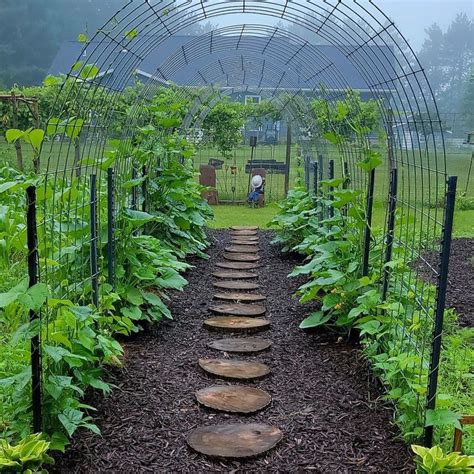 Pin by Natalia Günter on сад и терасса Vegetable garden design