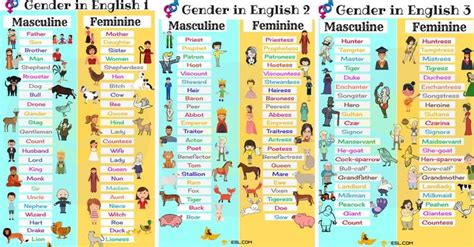 Gender Of Nouns Useful Masculine And Feminine List • 7esl Masculine