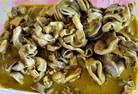 ilokano learner agsursuro saga bassit