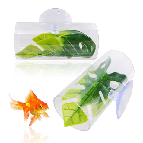 guide to betta fish hiding safely 4