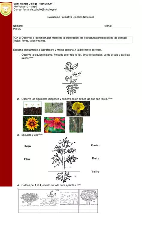 Evaluación Oa 3 Ciencias Naturales Profe Social