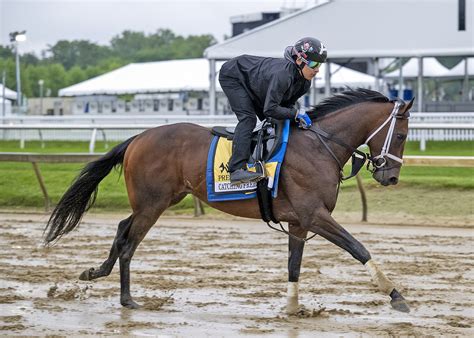 Catching Freedom The Solid Ohio Derby Choice; Odds, Picks | Horse