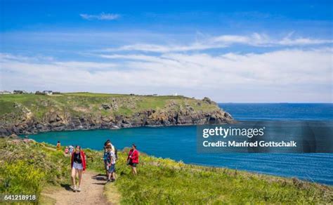 Cape Grass Lizard Photos and Premium High Res Pictures - Getty Images