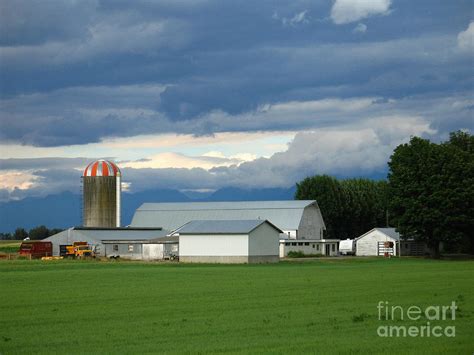 Verdant Farmland Photograph By Ann Horn Fine Art America