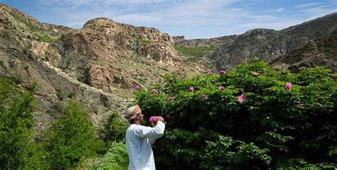 Jebel Akhdar| Oman Tours | Muscat Tours | Nizwa Tours