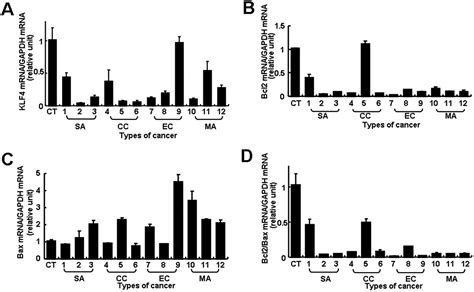 Downregulation Of Klf4 And The Bcl 2 Bax Ratio In Advanced Epithelial