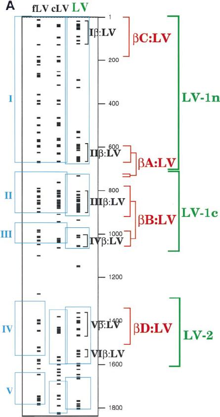 Mapping Of Homologue Domains Amphipathic Motifs And Known Lamprey Lv