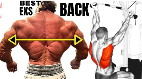 How To Build Your Back 6 Effective Exercise Youtube