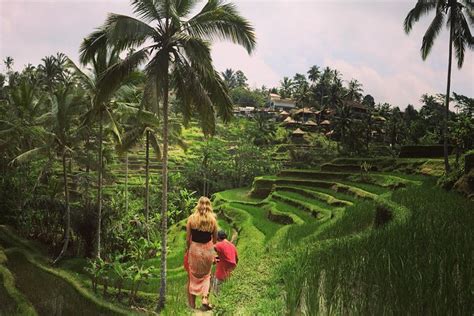 Private Tour Balinese Culture And Scenery Visit Ubud Area 2023