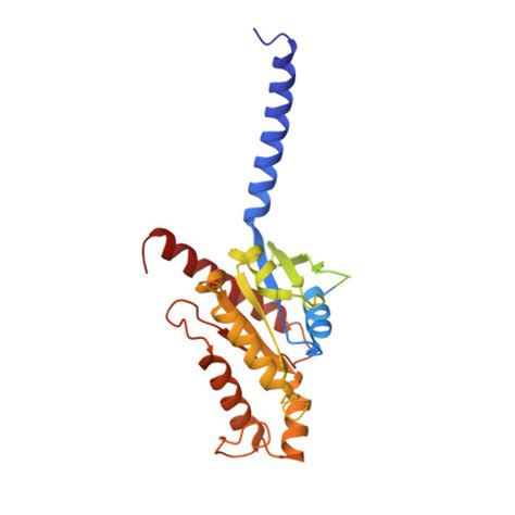 Rcsb Pdb Sqo Structure Of The Orexin Receptor Ox R Bound To Tak