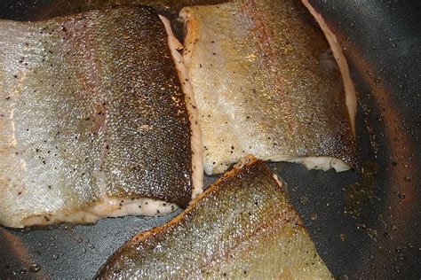 trout fillets cooked – Ashe County Farmers Market