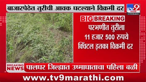 Parbhani Breaking परभणीत तुरीला 11 हजार 500 रुपये क्विंटल इतका विक्रमी दर Youtube