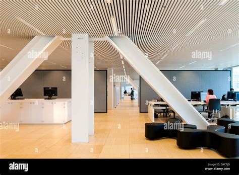 Interior View Of Office Area Showing Integrated Structural Pillars