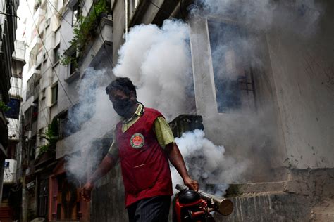 Climate change drives Bangladesh's worst dengue outbreak - November 14 ...