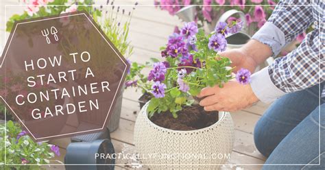 8 Steps To Start Easy Container Gardening On Any Patio Or Porch Practically Functional