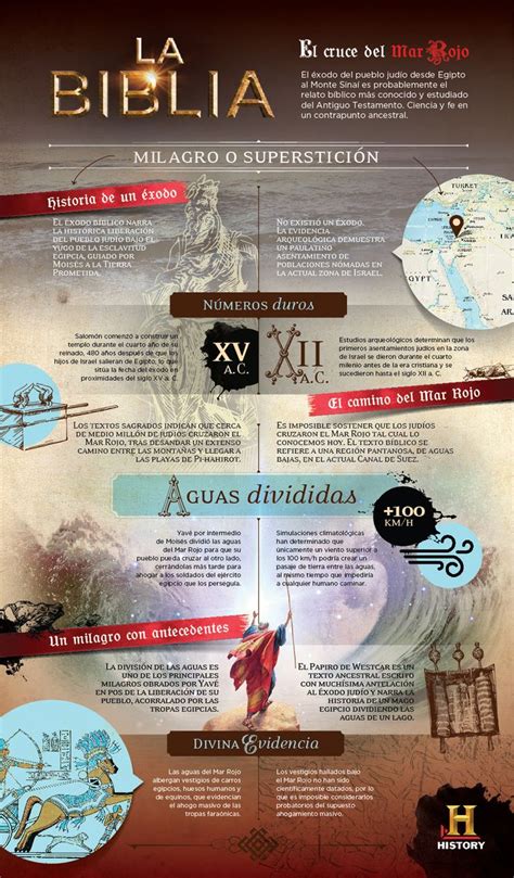 Infografias Las 12 Curiosidades De La Biblia Biblia Infografia Themelower