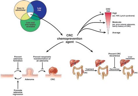 Figure 1 From Chemoprevention Of Colorectal Cancer Semantic Scholar