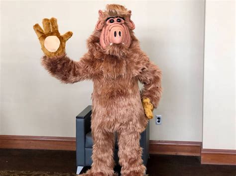 Alf Adult Costume Ubicaciondepersonascdmxgobmx