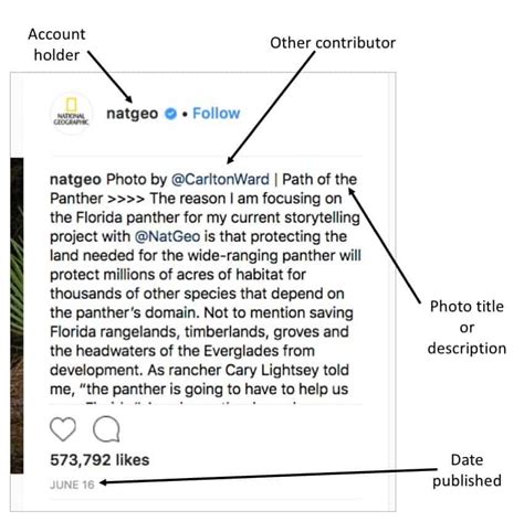 How to Cite a Website in MLA: A Complete Guide | EasyBib Citations