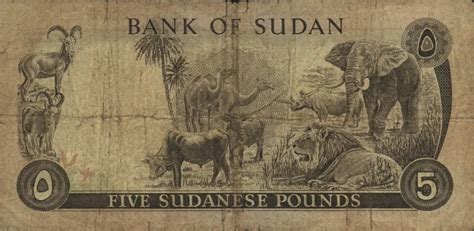 5 Sudanese Pounds January 2 1980 Sudan BanknoteDB