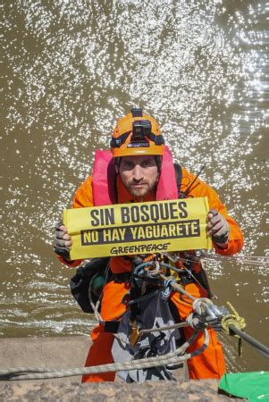 Activistas De Greenpeace Se Colgaron Del Puente Para Protestar Contra