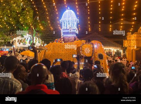 Kataragama Perahera Festival Fotos Und Bildmaterial In Hoher