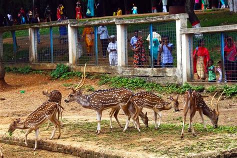 Exploring the Wonders of Bangladesh National Zoo | Asia Tours