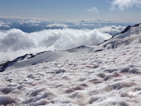 Afternoon Above The Clouds On Mount Rainier Stock Photo Image Of Snow