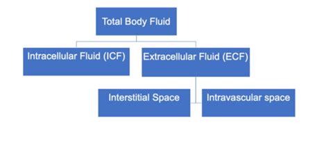 Renal and Urinary Systems Week 2: Regulation of Extracellular Sodium ...