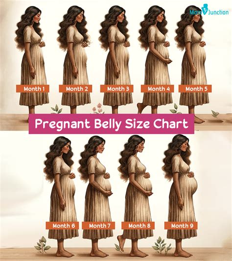 Pregnant Belly Stages