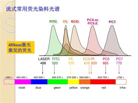 流式细胞术基本原理与应用 Ppt Download