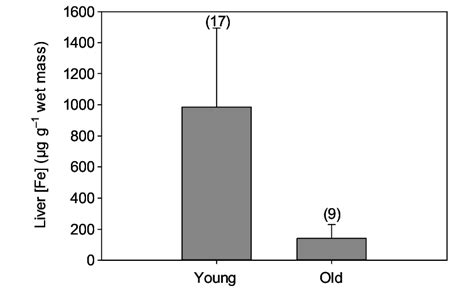 Liver iron concentration (means ± s.d.) in two age categories of hooded ...