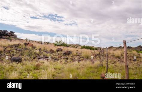 Typical karoo landscape Stock Videos & Footage - HD and 4K Video Clips ...