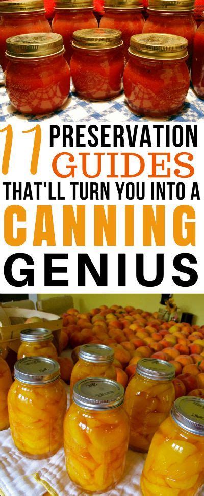 11 Food Preservation Guides That Ll Turn You Into A Canning Genius