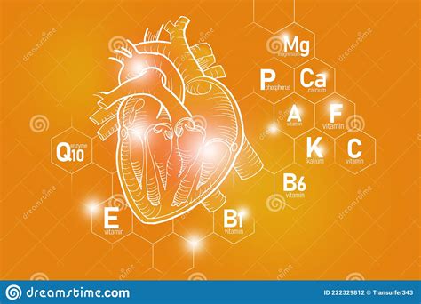 Nutrientes Esenciales Para La Salud Cardiaca Incluyendo Q Vitamina F