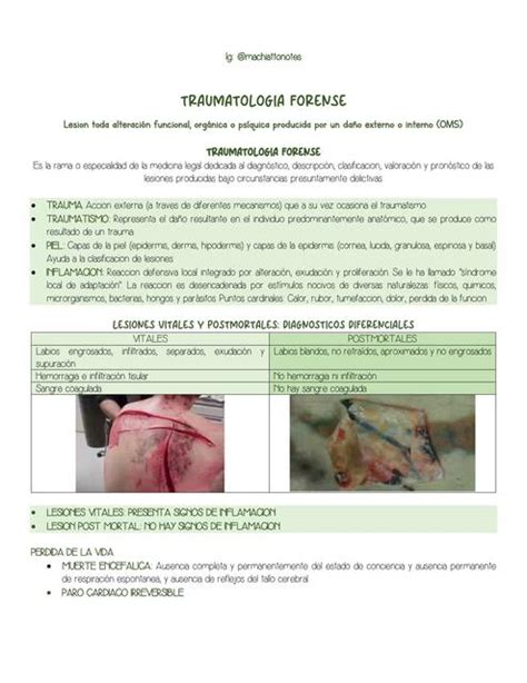 Traumatologia Forense Lesiones Sandy Udocz