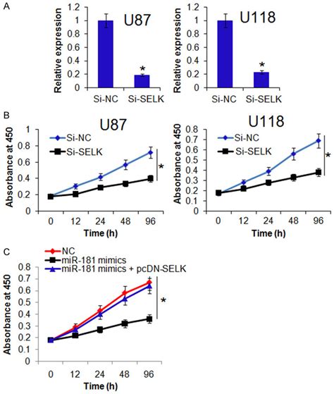 A Expression Of SELK In Si NC Or Si SELK Transfected U87 And U118