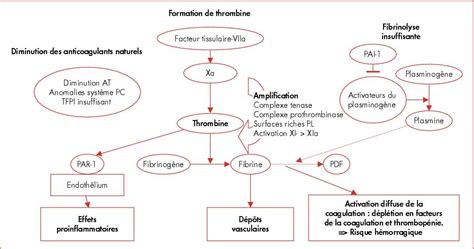 CIVD PHYSIOPATHOLOGIE PDF