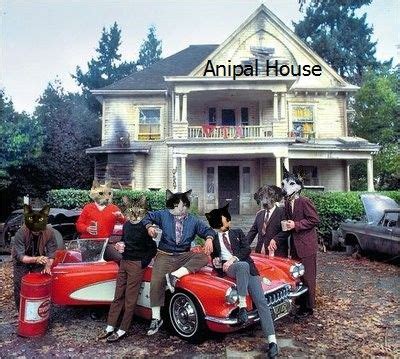 Animal House Quotes Kevin Bacon - ahomeg