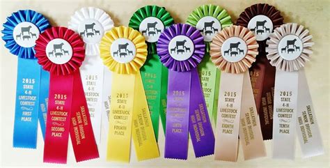 livestock show award ribbon Archives - McLaughlin Ribbon Awards