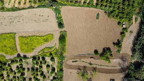 Vistas Aéreas De Campos De Cultivo Foto Premium