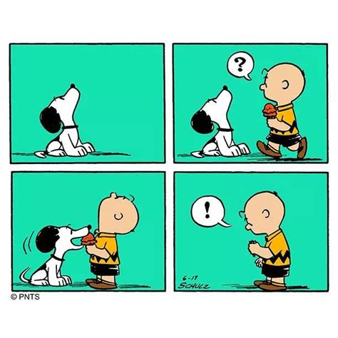 Pin By Lisa Novak On Peanuts Charlie Brown And Snoopy Snoopy Comics