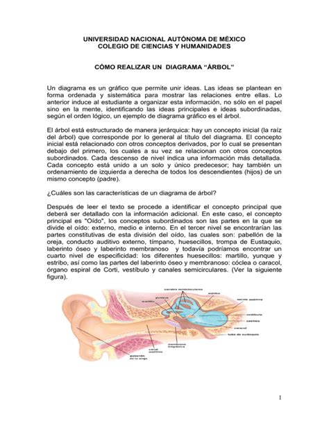 DIAGRAMA ÁRBOL Portal Académico del CCH