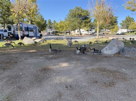 LAKESIDE RV PARK - Updated December 2024 - 140 Photos & 163 Reviews - 5870 Homestead Rd, Pahrump ...